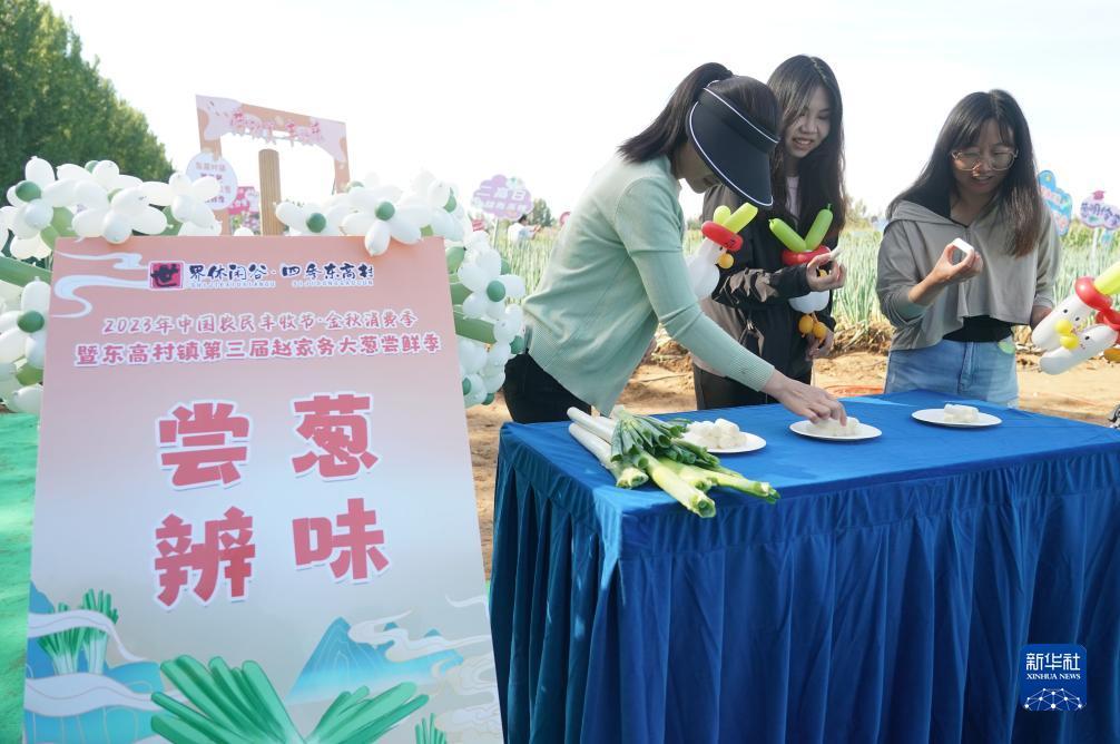 捕鱼达人为什么没有了